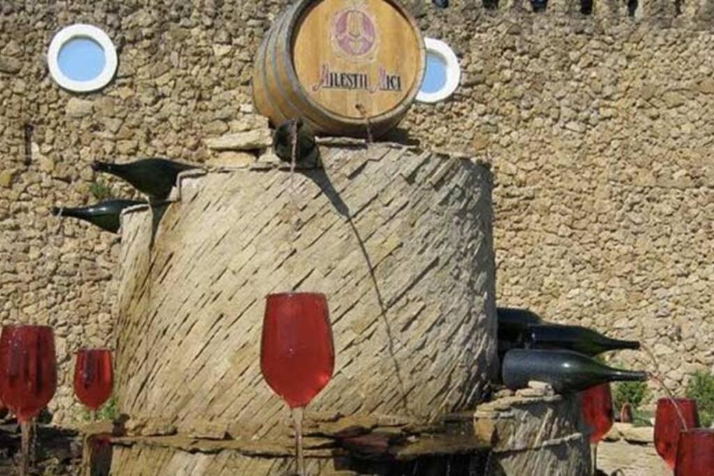 Villetta Giardino Degli Ulivi オルトーナ エクステリア 写真