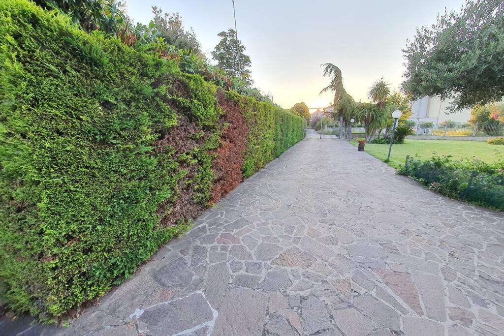 Villetta Giardino Degli Ulivi オルトーナ エクステリア 写真
