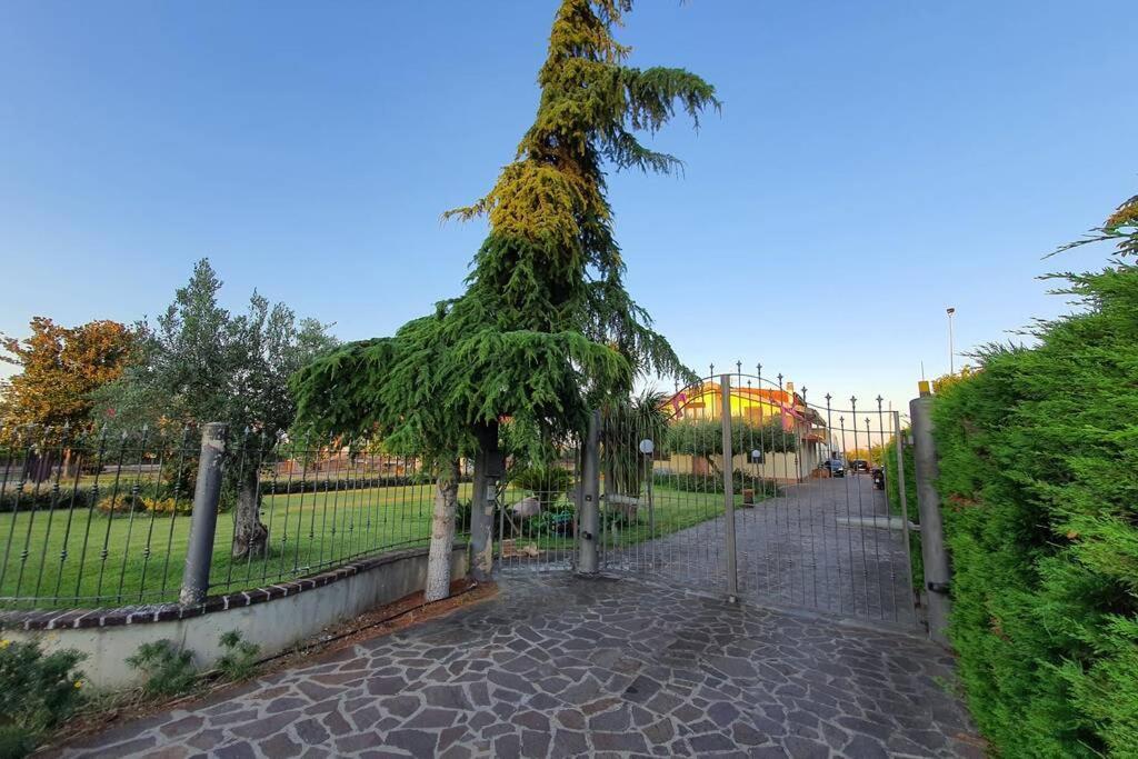 Villetta Giardino Degli Ulivi オルトーナ エクステリア 写真