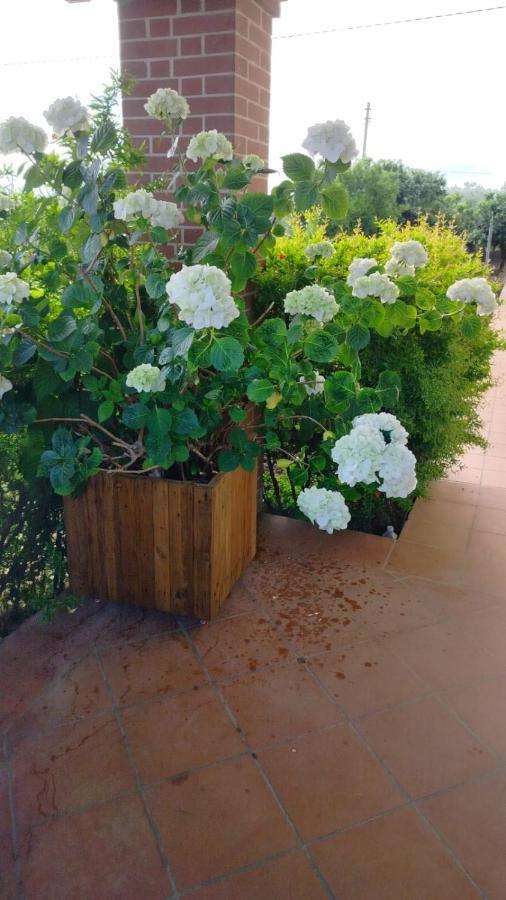 Villetta Giardino Degli Ulivi オルトーナ エクステリア 写真